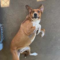 Thumbnail photo of Liv #1