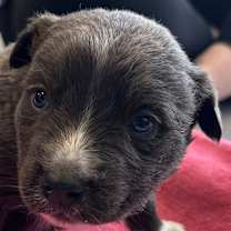 Thumbnail photo of Taco Bell #3