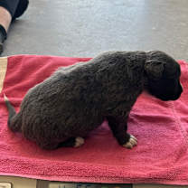 Thumbnail photo of Taco Bell #4