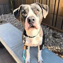 Thumbnail photo of Birdie #3