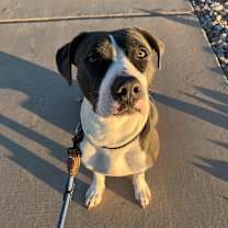 Thumbnail photo of Birdie #4