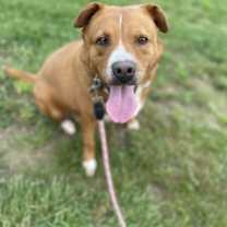 Thumbnail photo of Fredrick #4