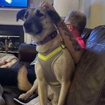 Thumbnail photo of Diva #1