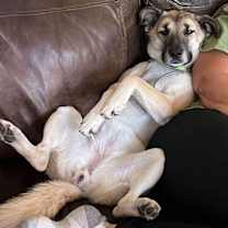 Thumbnail photo of Diva #2