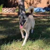 Thumbnail photo of Diva #3