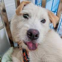 Thumbnail photo of McFlurry #3