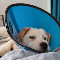 Thumbnail photo of McFlurry #4