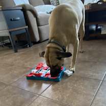 Thumbnail photo of Luna #4