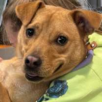 Thumbnail photo of Lulu #3