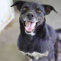 Thumbnail photo of Luke #2