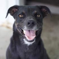 Thumbnail photo of Luke #3