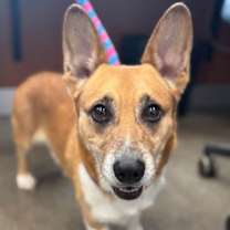 Thumbnail photo of Lorcan #2