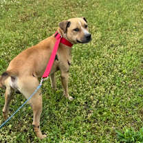 Thumbnail photo of Highway Nate #1