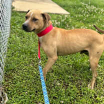 Thumbnail photo of Highway Nate #2