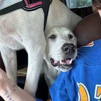 Thumbnail photo of Barry #2