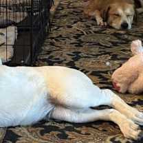 Thumbnail photo of Barry #3