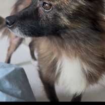 Thumbnail photo of Lian #1
