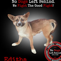 Thumbnail photo of Editha 3864 #1