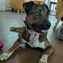 Thumbnail photo of ECHO #3