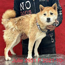 Thumbnail photo of Julie 3931 #2
