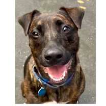 Thumbnail photo of Chuck #1