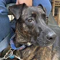 Thumbnail photo of Chuck #4