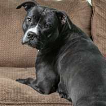 Thumbnail photo of Milly #1