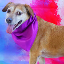 Thumbnail photo of Cookee JuM* #4