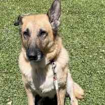 Thumbnail photo of Lizzie CP #3