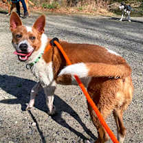 Thumbnail photo of Mocha #2