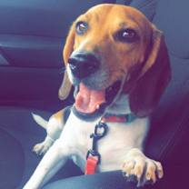 Thumbnail photo of Sophie #3