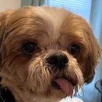 Thumbnail photo of LAWRENCE #1