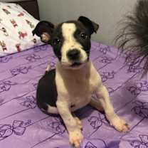 Thumbnail photo of Valentina #1