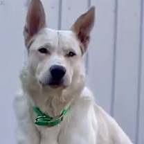 Thumbnail photo of Kimba-Adores Everyone #3