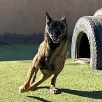 Thumbnail photo of Lady Jade Located in NM #1