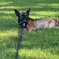 Thumbnail photo of Lady Jade Located in NM #2