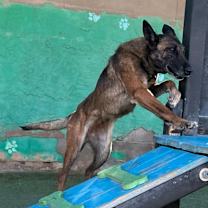 Thumbnail photo of Lady Jade Located in NM #4