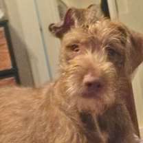 Thumbnail photo of Little Girl #1