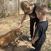 Thumbnail photo of Baxter #1