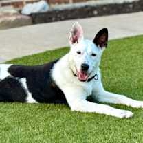 Thumbnail photo of Walker #1