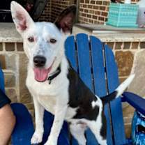 Thumbnail photo of Walker #2