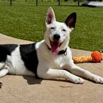 Thumbnail photo of Walker #3