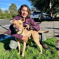 Thumbnail photo of JIMMINY #2