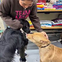 Thumbnail photo of JIMMINY #3