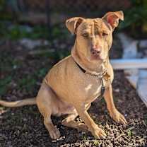 Thumbnail photo of JIMMINY #4