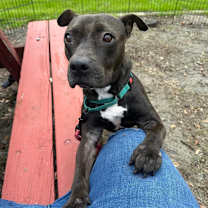 Thumbnail photo of Skittles #3