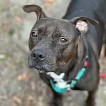 Thumbnail photo of Skittles #4