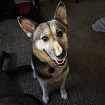 Thumbnail photo of Zara #2