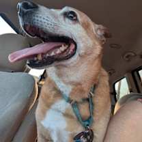 Thumbnail photo of Kent #1