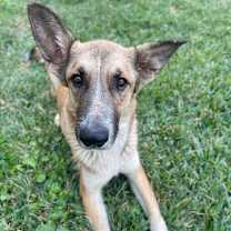 Thumbnail photo of Abigail #2